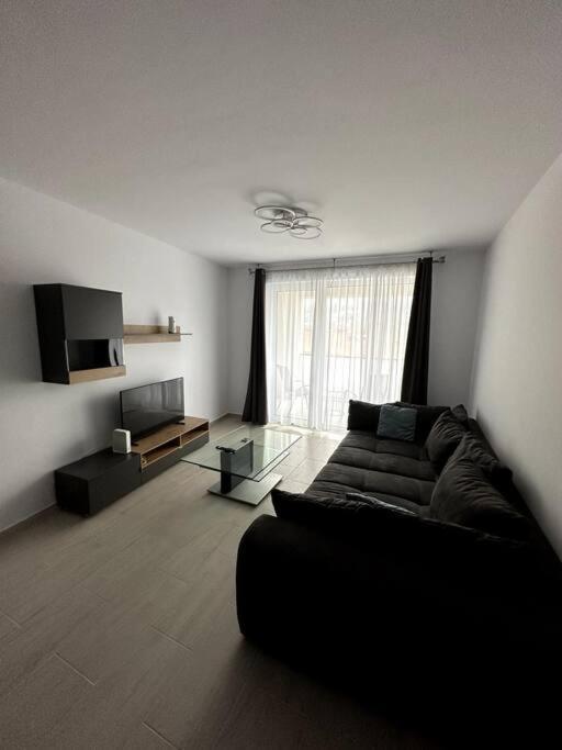 Central River Apartment Cluj-Napoca Exterior foto